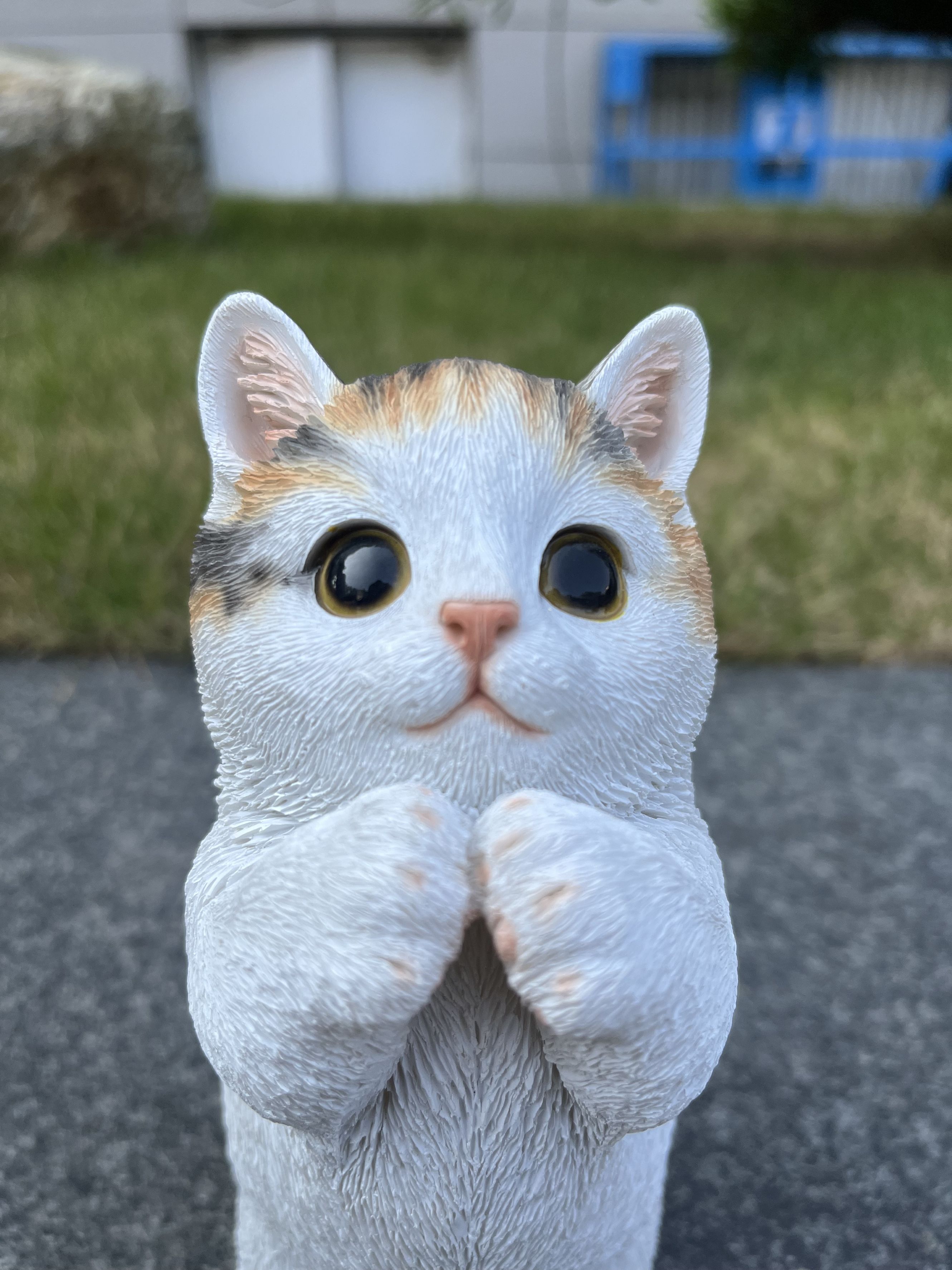 7" H Calico Cat Kitten Statue Praying