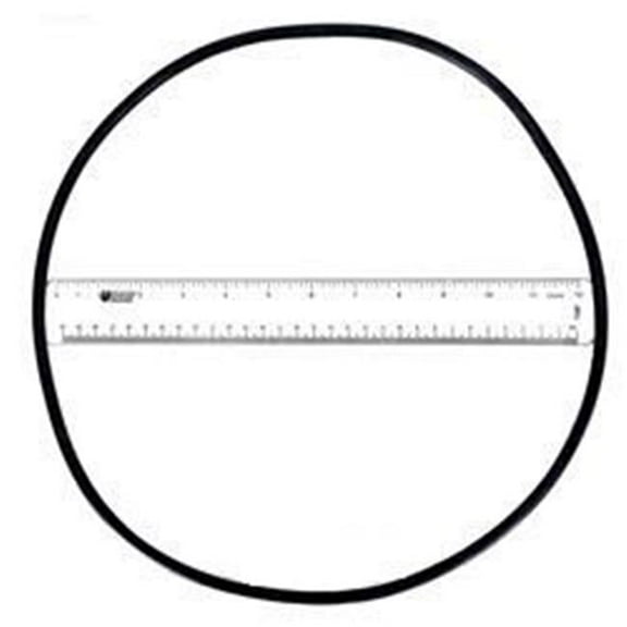 Astralpool AST4404210302 Astral Micron Media Filter