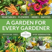 Sunflower Seeds 4 Pack - Autumn Beauty, Chocolate Cherry, Sungold, Lemon Queen - Full Sun Annual Flowers