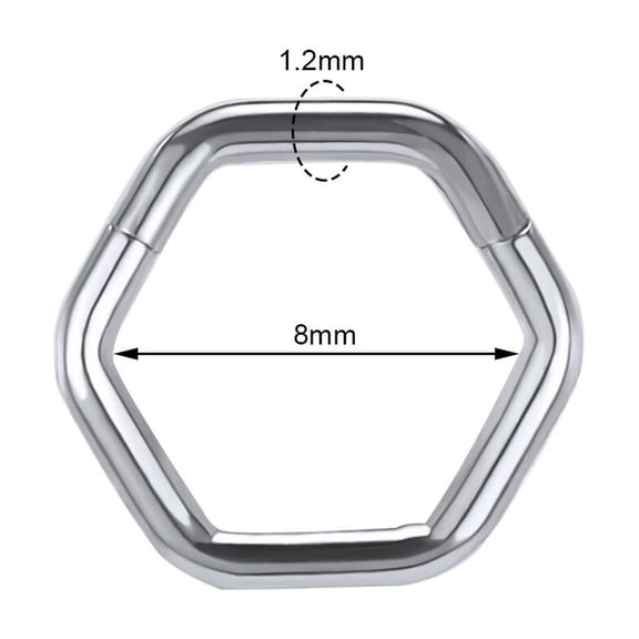 QQTDFG 1 Pc 16G Stainless Steel Hoop Nose Rings CZ Septum Clicker Ear Piercing Jewelry-Silver-Hexagon