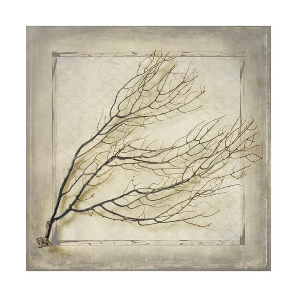 LightBoxJournal 'Starfish Sea Leaf' Canvas Art