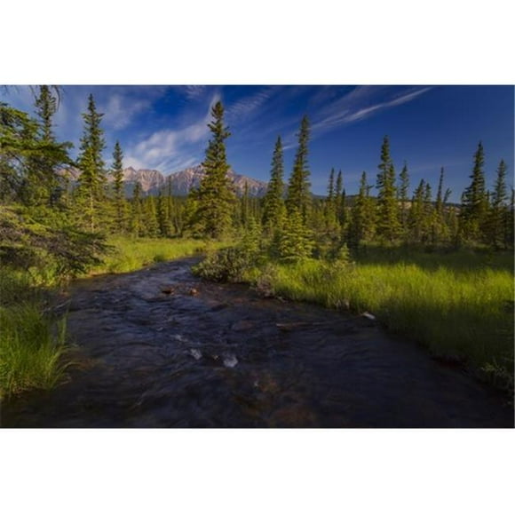 Posterazzi DPI12291375 Creek That Leads Away from Lac Beauvert Jasper National Park - Alberta Canada Poster Print by Justin Sinclair, 19 x 12