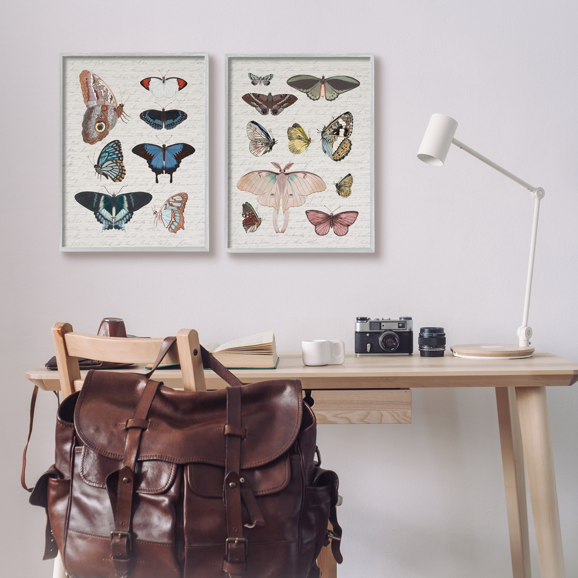 Stupell Industries Vintage Butterflies & Moths Animals & Insects Painting Gray Framed Art Print Wall Art, 16 x 20