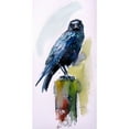 thumbnail image 3 of Kovacs, Anna Brigite 14x24 Black Modern Framed Museum Art Print Titled - Crow, 3 of 5