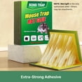 thumbnail image 2 of Glue Traps for Mice, Sticky Mouse Traps Indoor Pest Control for Rat, Rodent, Spider, Roach, 4 Pack, 2 of 7