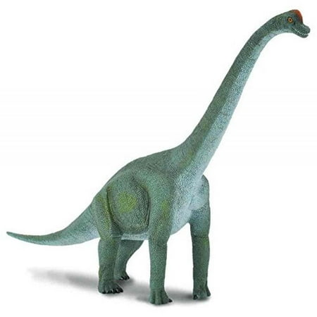 Prehistoric Life Dinosaurs - CollectA Prehistoric Life Brachiosaurus Toy Dinosaur Figure - Paleontologist Approved Hand Painted Model
