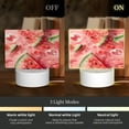 thumbnail image 3 of Fotbe Refreshing Watermelon Slices Pattern Acrylic Night Light Gift with 3 Color ModesTouch-Sensitive LED Lamp Perfect Gift for Mother's Day, Birthday, or Christmas, 3 of 9