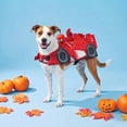 thumbnail image 2 of Vibrant Life Halloween Racing Driver Costume for Dogs, Red, Large, 2 of 8