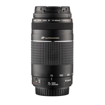 Canon EF 75-300mm f/4-5.6 III USM Lens