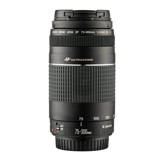 Canon EF 75-300mm f/4-5.6 III USM Lens