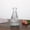 Clear C, variant on Naittoop Glass Bud Vases 5in Small Flower Vases Bulk for Wedding Centerpiece Clear Vintage Embossed Ribbed Mini Vases for Table Decorations Party Receptions or Home Decor A