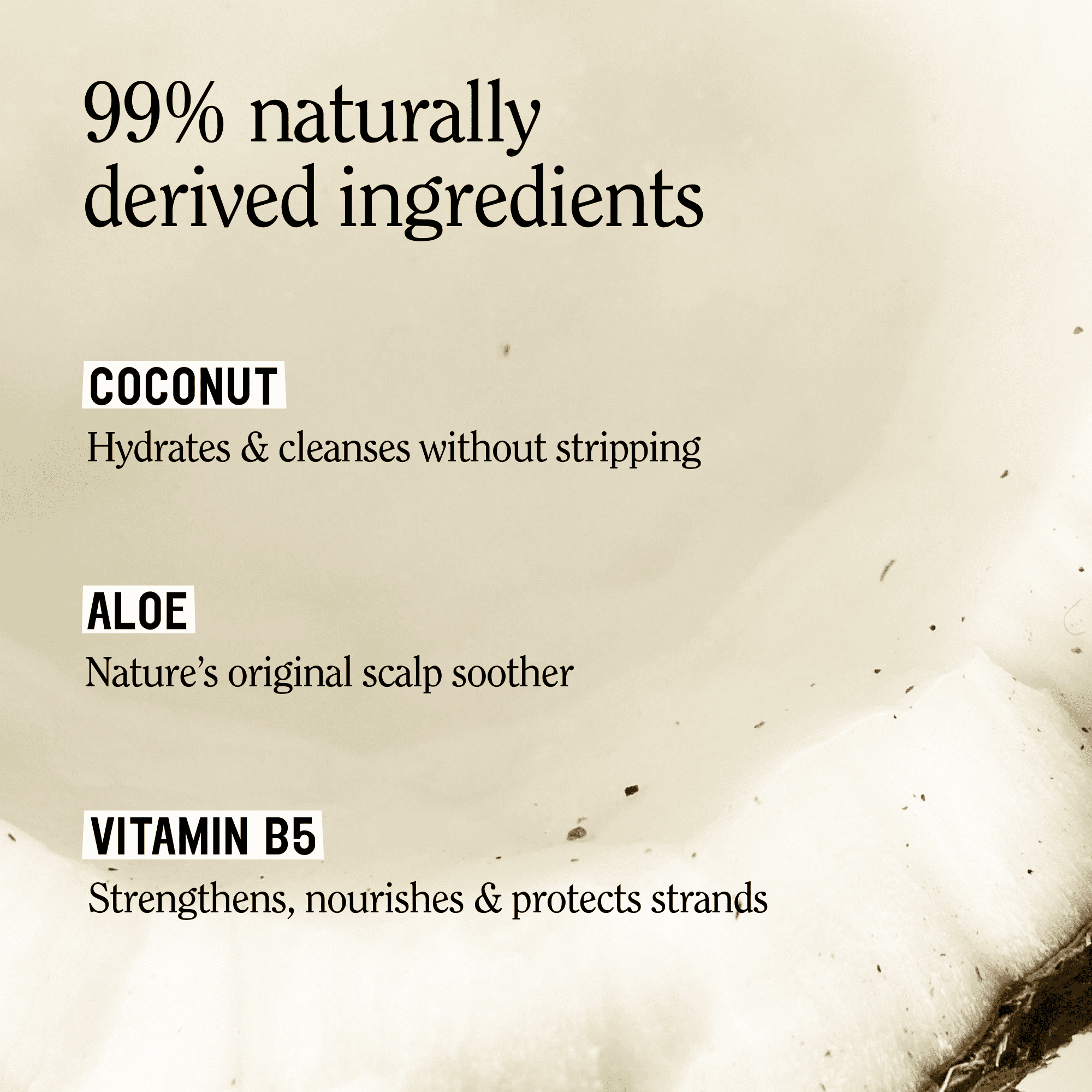 California Naturals Classic Clean Shampoo, Toasted Coconut, 16.5 fl oz