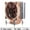 1FAN-NO light, variant on 6 Heat Pipe Processor Efficient Cooling Fan Cpu Cooler 120mm 3Pin/4Pin Universal Install LGA X79 X99 X299 2099 2011 Motherboard