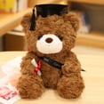 thumbnail image 1 of Muñeco de peluche de oso con sombrero de doctor Muñeco de oso de doctor para graduación Regalo conmemorativo de la temporada de graduación, 1 of 6
