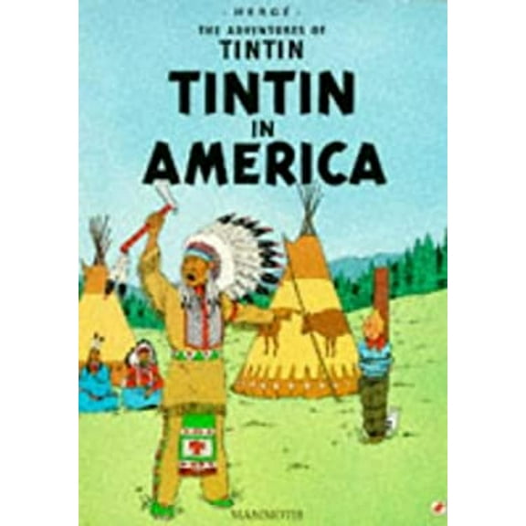 Pre-Owned America (Paperback) 9780749702304