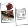 thumbnail image 6 of Rouge d'Hiver Romaine Lettuce Seeds (Lactuca sativa) – 1000+ Heirloom Non-GMO Seeds per Packet by Isla’s Garden Seeds, Cold-Hardy, Red-Tinged Leaves, Perfect for Crisp and Flavorful Salads, 6 of 7