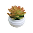 thumbnail image 2 of Planta Suculenta Artificial, Suculenta Falsa, Suculenta de Imitación, con Maceta, Detalles Realistas, 7.5x7x7 cm, para Decoración del Hogar u Oficina, 2 of 6