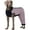 Pink, variant on Kuoser Dog Recovery Suit for Back Legs,Soft Dog Surgery Suit with Sleeves to Stop Licking, Green, M