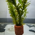 thumbnail image 4 of 1set Creative Fixed Water Plant Fixed Water Grass Fixing Home Best, 4 of 6