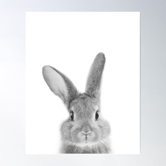 Rabbit Black White Art Print, By Zouzounio Art Poster Wall Art, Modern Wall Decor For Living Room Bedroom, 24x36 UNFRAMED