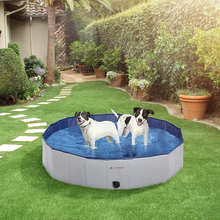 Pupteck pool hot sale