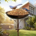 thumbnail image 5 of Daiosportswear Iron Bird Bath Stand,Rustproof Robust Standing Bath,11.8" Diameter,31.5in Total Length,Adjustable Height,Easy Clean,Decorative Leaves,Bird Feeding Station,Garden Outdoor Use, 5 of 7