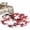 White Deep Red, variant on Round Rug 4Ft Washable Non-Slip, Red Plum Circle Area Rugs for Living Room Bedroom, Nature Flowers Branches Chinese Painting Indoor Floor Mats Carpet Runner for Home Decor Aesthetic