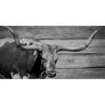 thumbnail image 3 of Phillip, Jamie 18x11 Black Modern Framed Museum Art Print Titled - Long Horn Bull, 3 of 5