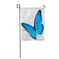 thumbnail image 1 of JSDART Coloré Blanc Bleu Papillon Volant Petit Beau Drapeau de Jardin Décoratif Drapeau Maison Bannière 28x40 Pouces, 1 of 1