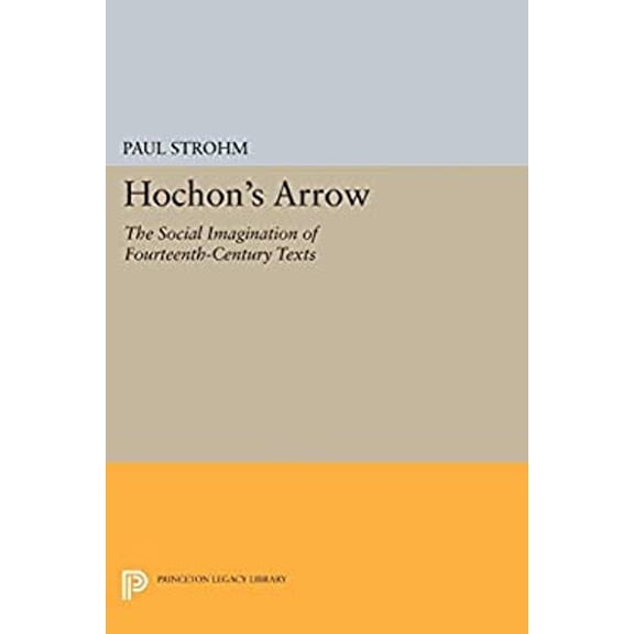 Pre-Owned Hochon's Arrow : The Social Imagination of Fourteenth-Century Texts (Paperback) 9780691015019