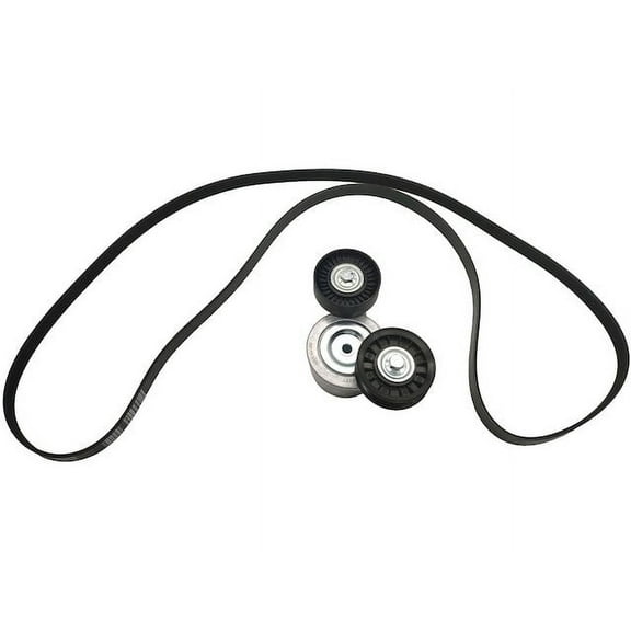 Serpentine Belt Drive Component Kit - Compatible with 2000 - 2007 Dodge Dakota 2001 2002 2003 2004 2005 2006