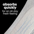 thumbnail image 6 of (5 pack) U by Kotex Balance Daily Wrapped Panty Liners, Light Absorbency, Regular Length, 100 Count, 6 of 13