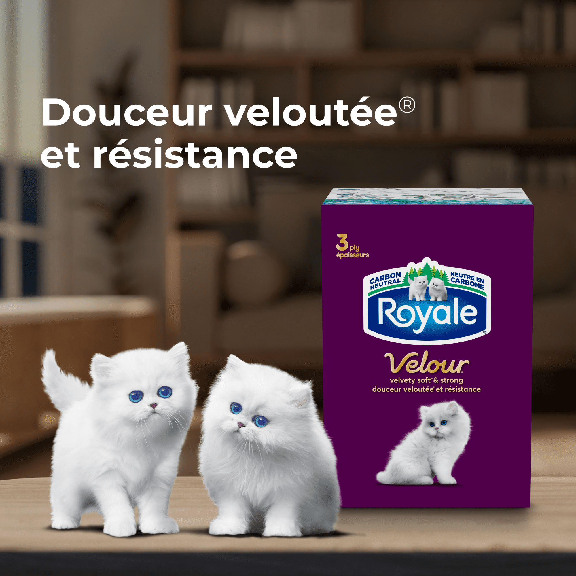 Royale Velour, 3 Ply Facial Tissue, 12 Flat Boxes, 82 Tissues per Box