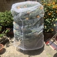 thumbnail image 3 of Bolsa de barrera contra insectos, malla transparente para plantas antipájaros, para frutas y verduras, 3 of 9