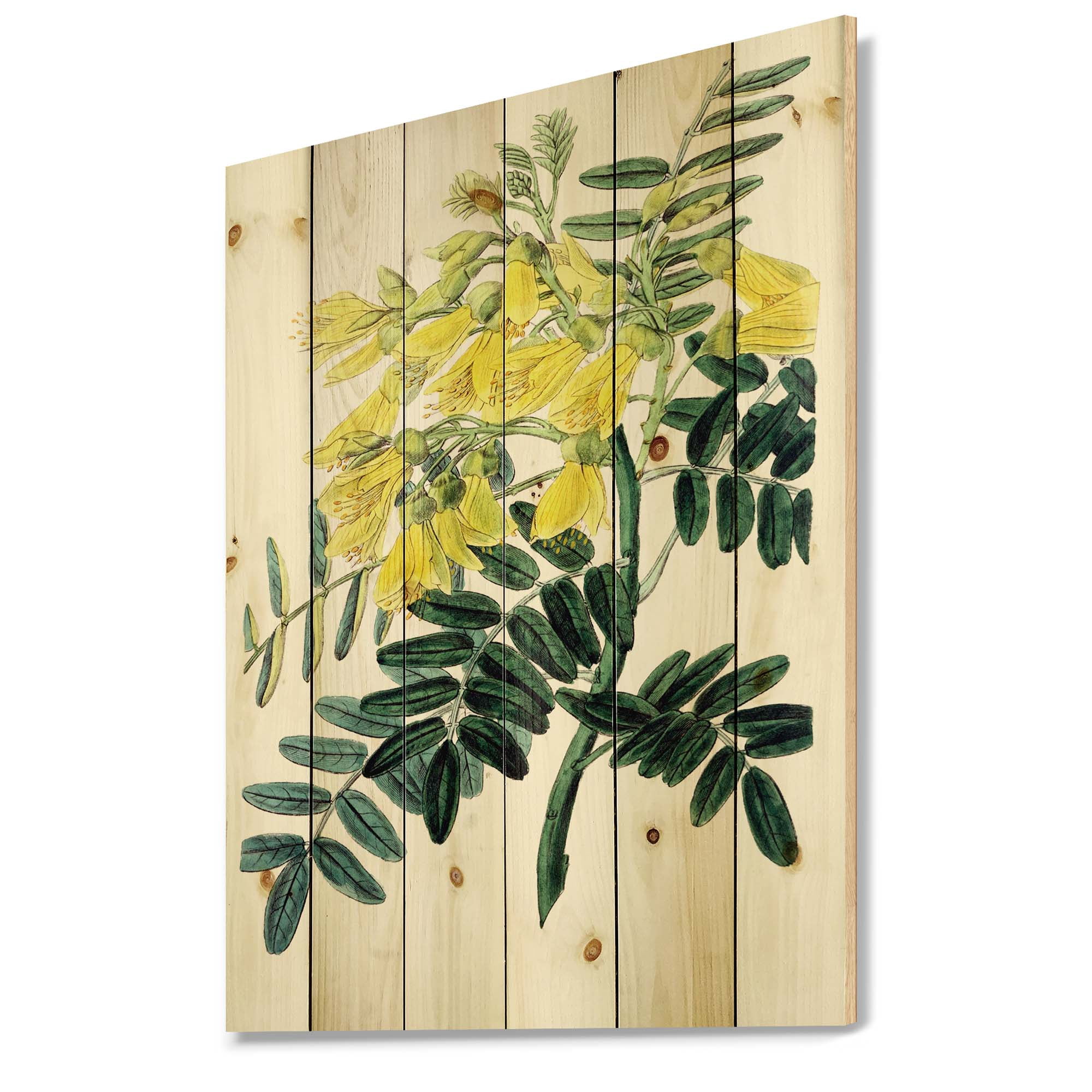 Designart 'Ancient Yellow Flower II' Traditional Print on Natural Pine Wood