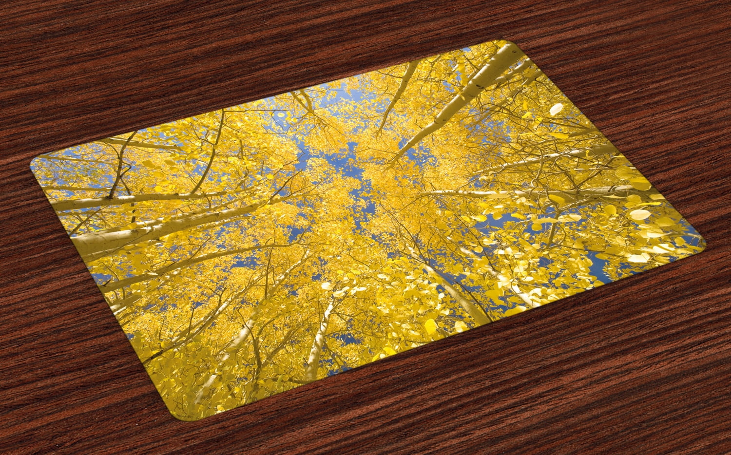 Yellow and Blue Placemats Set of 4 Looking Skyward amongst the Patch of