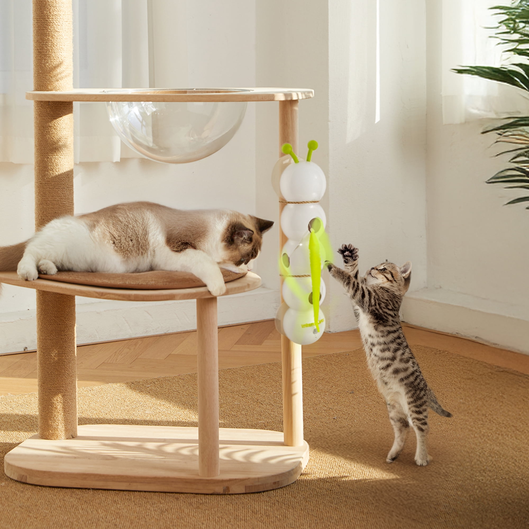 All For Paws Interactive Cat Teaser Toy, USB Rechargeable – Automatic Whack-a-Mole Toy with Suction Cups, Motion-Activated Cat Wand, Enrichment Toy for Indoor Cats & Kitties