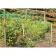 thumbnail image 5 of Red antipájaros de 10m x 4m,Red antipájaros para jardín,Red antipájaros de nailon, 5 of 5