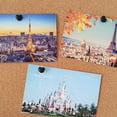 thumbnail image 4 of Shisuyan 1 Box Heart Shape Pushpins Creative Push Pin Drawing Pin Photo Wall Pin, 4 of 9