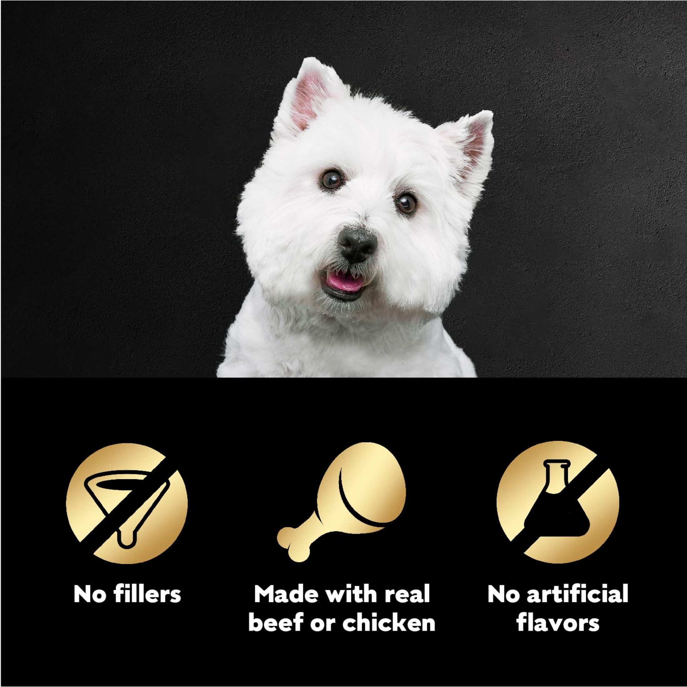 Cesar senior dog food pouches hot sale