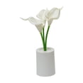 thumbnail image 2 of Mini LED Flower Pot Night Light with Battery Power, Decorative Pink, White, Purple Plastic Table Lamp for Bedroom, Living Room, Gift, 2 of 6