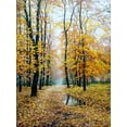 thumbnail image 2 of Cernov, Ivan 15x18 White Modern Wood Framed Museum Art Print Titled - When Autumn plays with you, 2 of 4