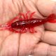thumbnail image 5 of 20pcs Señuelos De De Langosta Suave Camarones Cebo De Pesca Señuelos De Pesca De, 5 of 9