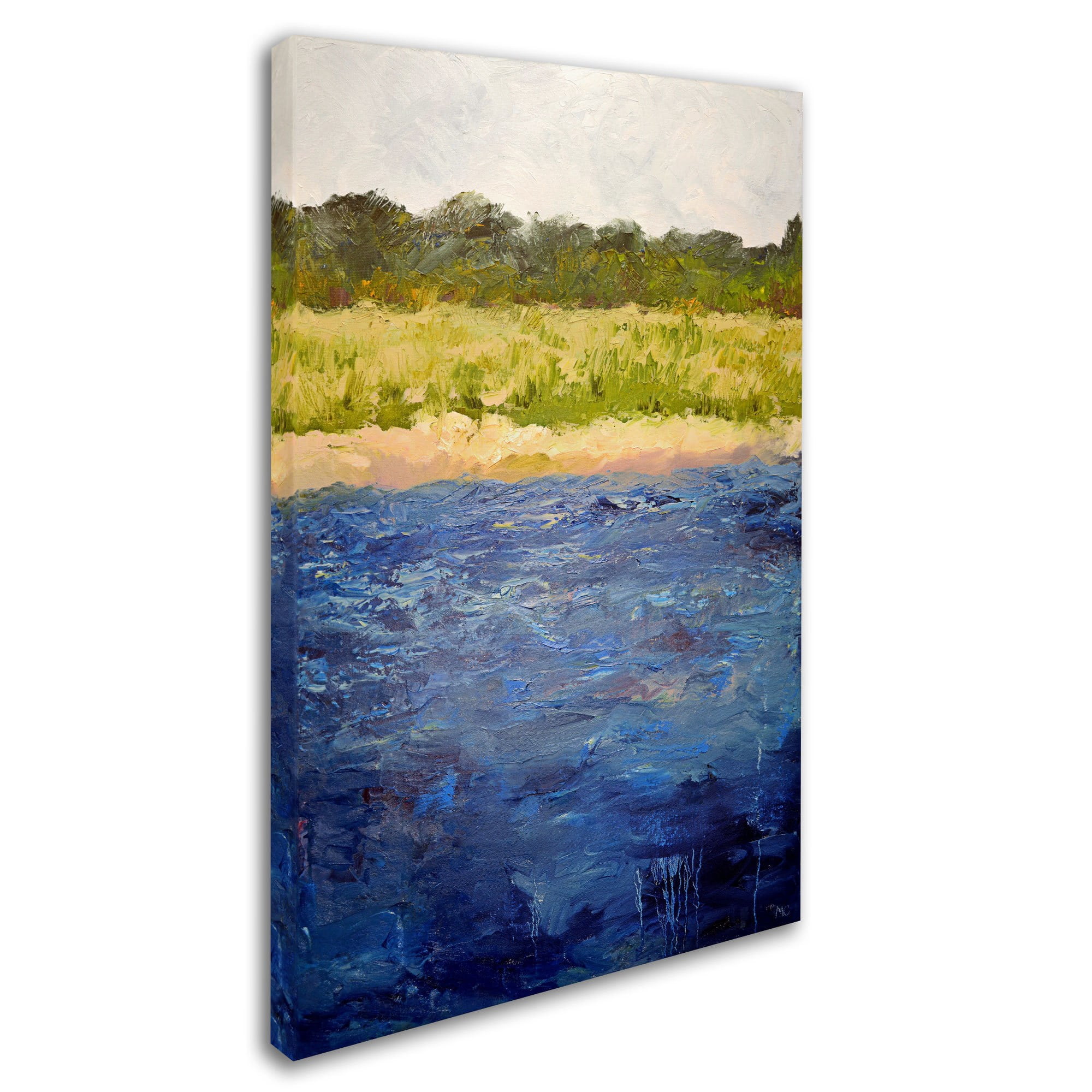 Trademark Fine Art "Coastal Dunes" Canvas Art by Michelle Calkins