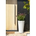 thumbnail image 4 of 26TL PLNTR WHITE - FRENCH, 4 of 11