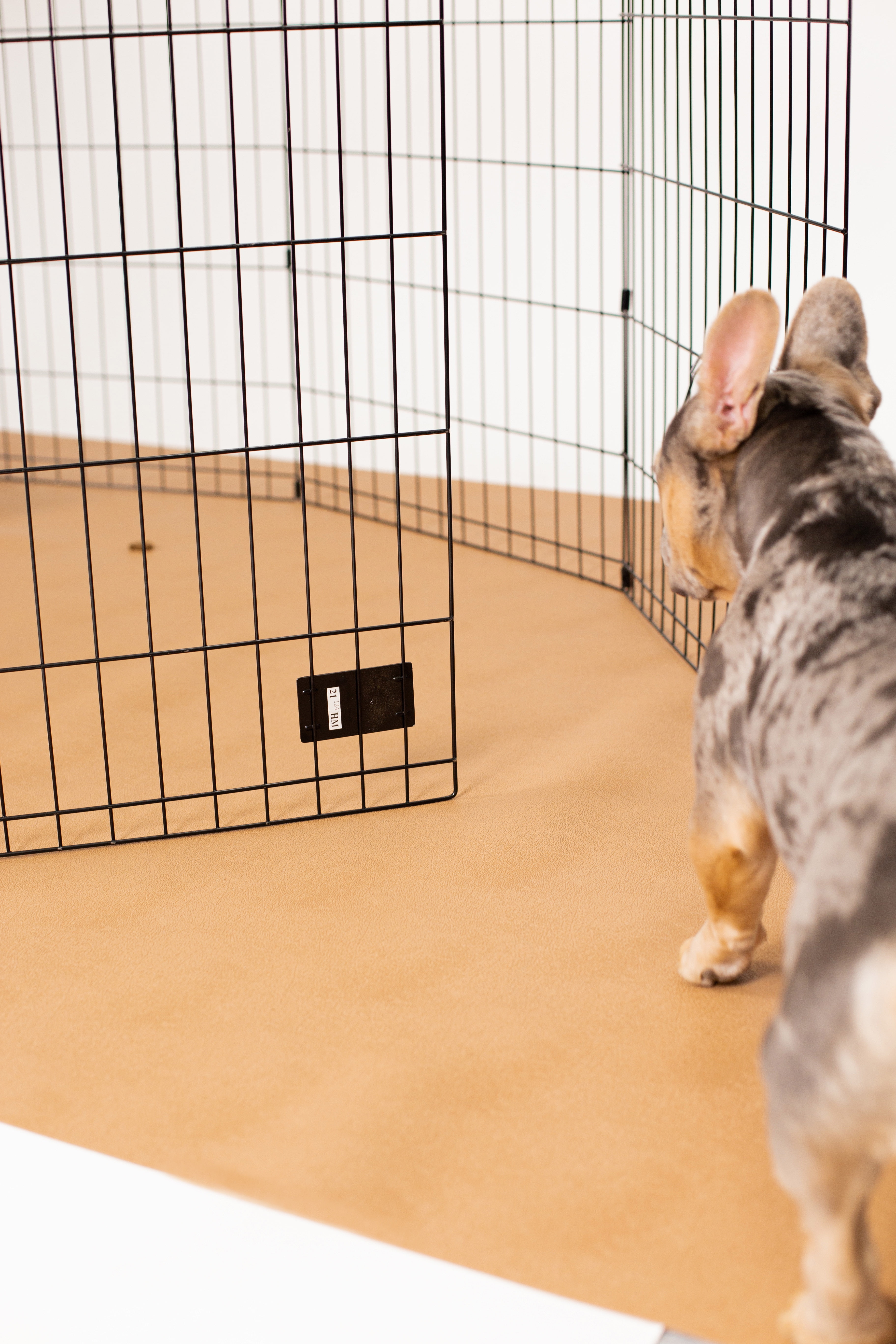 G-Floor 5' x 10' Vinyl Levant Pet Friendly Carpet Protector for Dogs & Cats - Sandstone