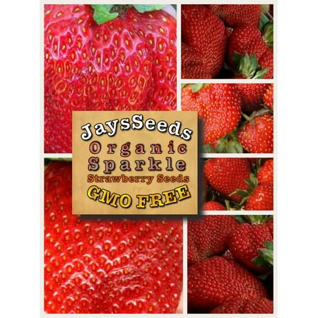 Organic Sparkle Strawberry 300 Seeds Pack