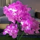 thumbnail image 3 of Solar Powered LED Hydrangea Flower Light Outdoor Garden Decoration 1-Pack, 3 of 3