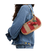 Coach Women's Teri Shoulder Bag With Stripes And Charm