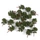 thumbnail image 2 of 20pcs Banyan Trees Model Train Scenery Landscape : 150 Hugo Paisaje del tren, 2 of 8
